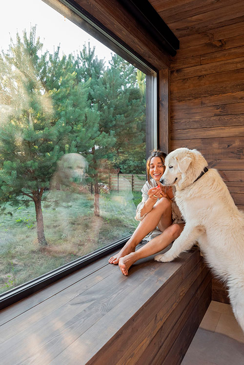 Cerramiento en vivienda con ventana panorámica y luz natural